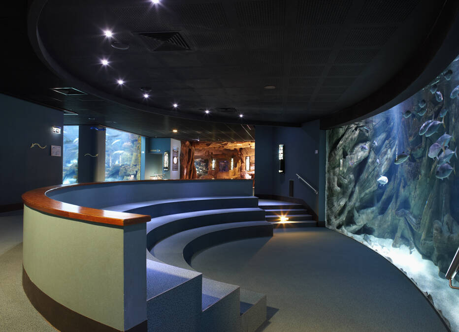 Aquarium de La Rochelle pour Osram