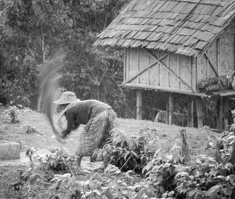 Dans un village Hmong, à la frontière Thaïlandaise, du côté de Huay Xaï