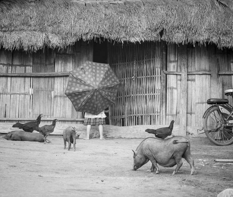 Dans un village Hmong, à la frontière Thaïlandaise, du côté de Huay Xaï