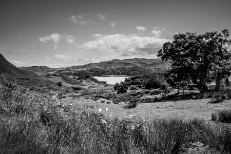 Kerrera Island