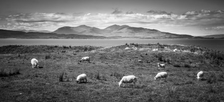 Kerrera Island