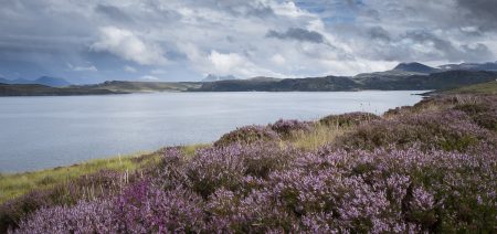 Highland