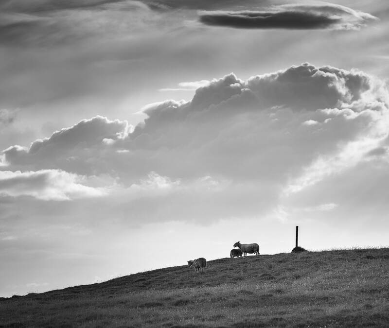 Highland