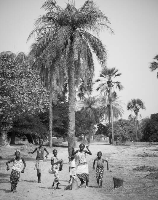 Sur le chemin, pour aller à Mar Lodj, Delta du Sine Saloum