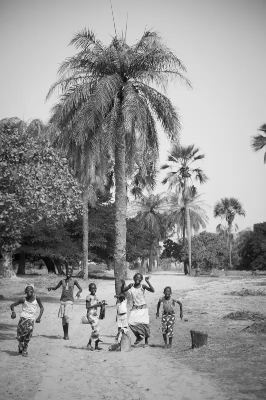 Mar Lodj, Delta du Sine Saloum