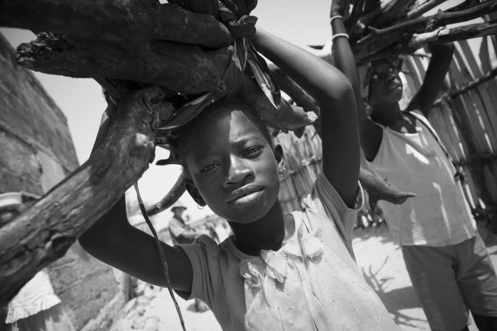 Le ramassage du bois est l'attribution des petites filles au Sénégal