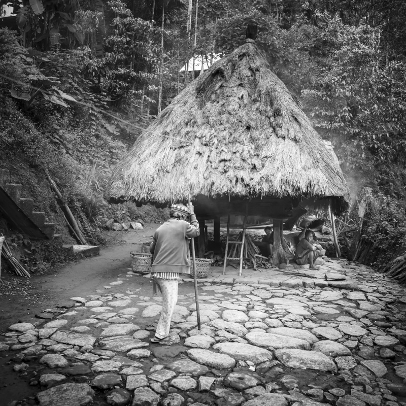 Habitat traditionnel Ifuago, Batad, île de Luzon