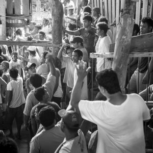 Coq fighting in Bohol Island