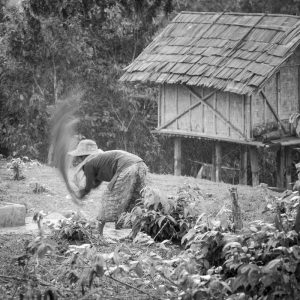 Dans un village Hmong, à la frontière Thaïlandaise, du côté de Huay Xaï