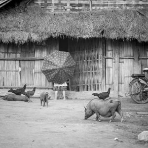 Dans un village Hmong, à la frontière Thaïlandaise, du côté de Huay Xaï