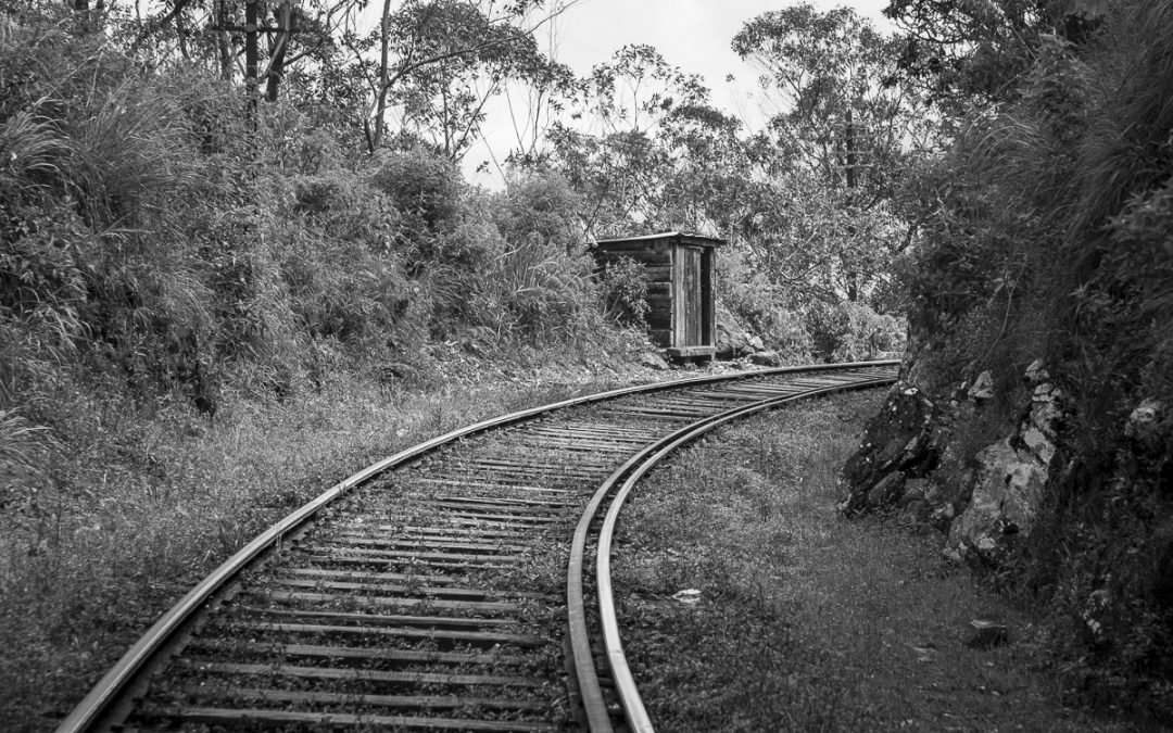 Au fil du rail