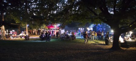 Festival Emergence à Lyon, 2012