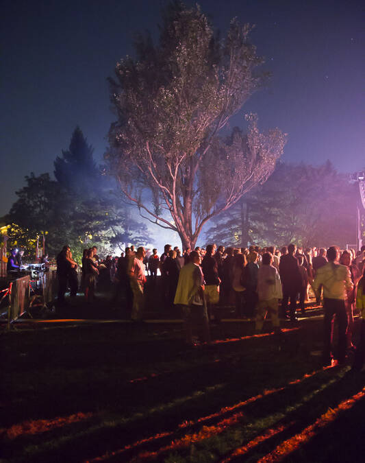 Festival Emergence à Lyon, 2012