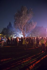 Festival Emergence à Lyon, 2012