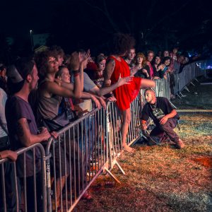 Festival Emergence à Lyon, 2012