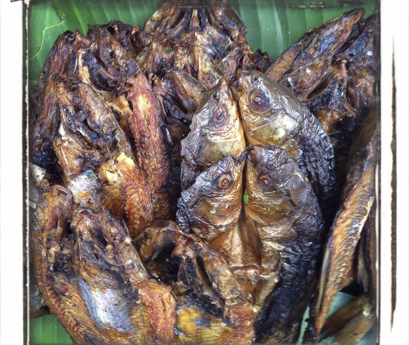 Brochettes de poisson, marché de Louang Prabang, Laos