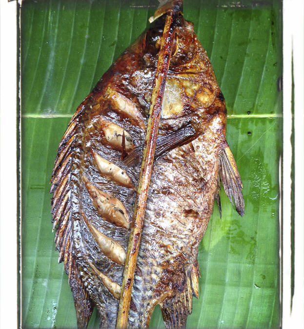 Brochette de poisson, marché de Louang Prabang, Laos