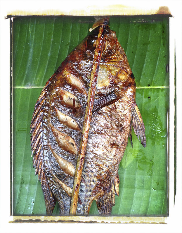 Brochette de poisson, marché de Louang Prabang, Laos