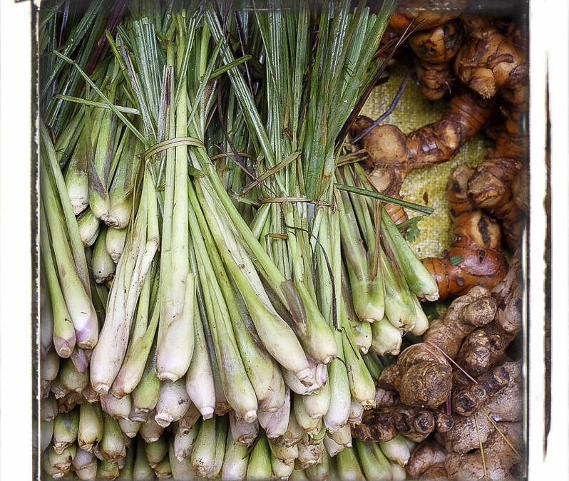 Citronelle et gingembre, marché de Louang Namtha, Laos