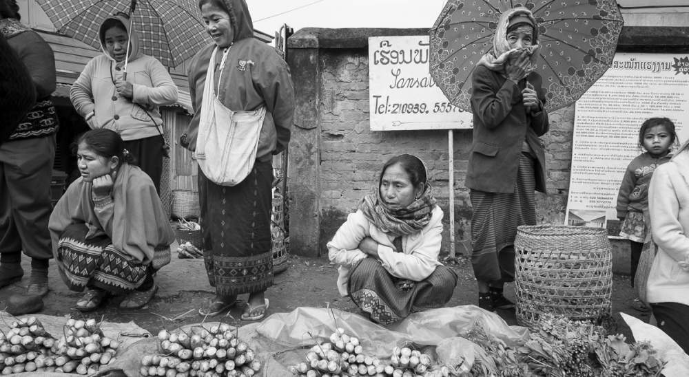 Pousses de bambous, marché de Muang Khua, Laos