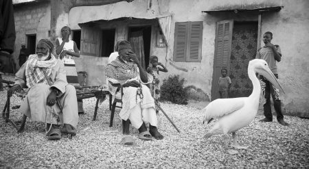 Cour d'une maison à Dionewar, Delta du Sine-Saloum