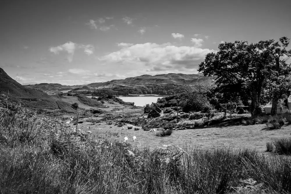 Kerrera Island