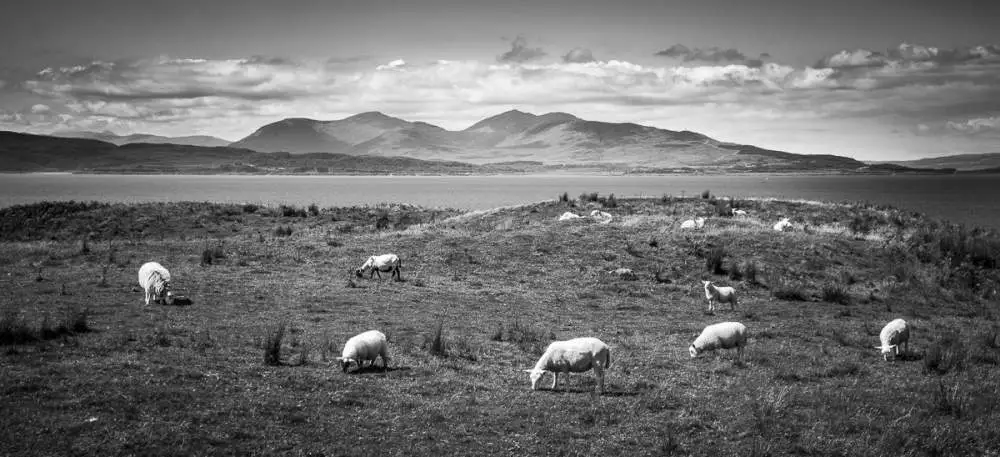 Kerrera Island