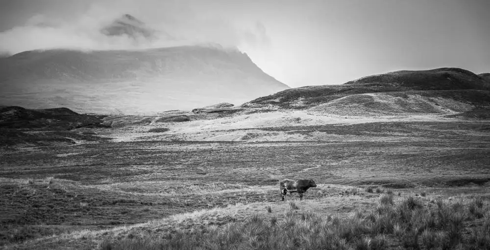 Highland