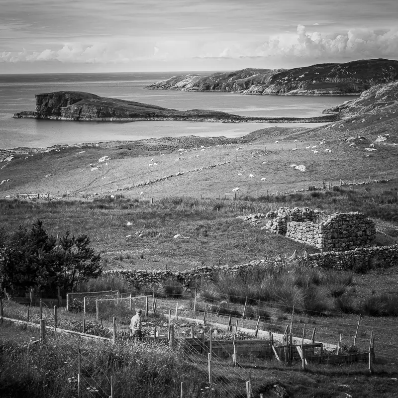 Oldshoremore
