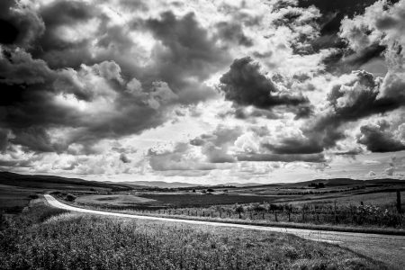 The borders