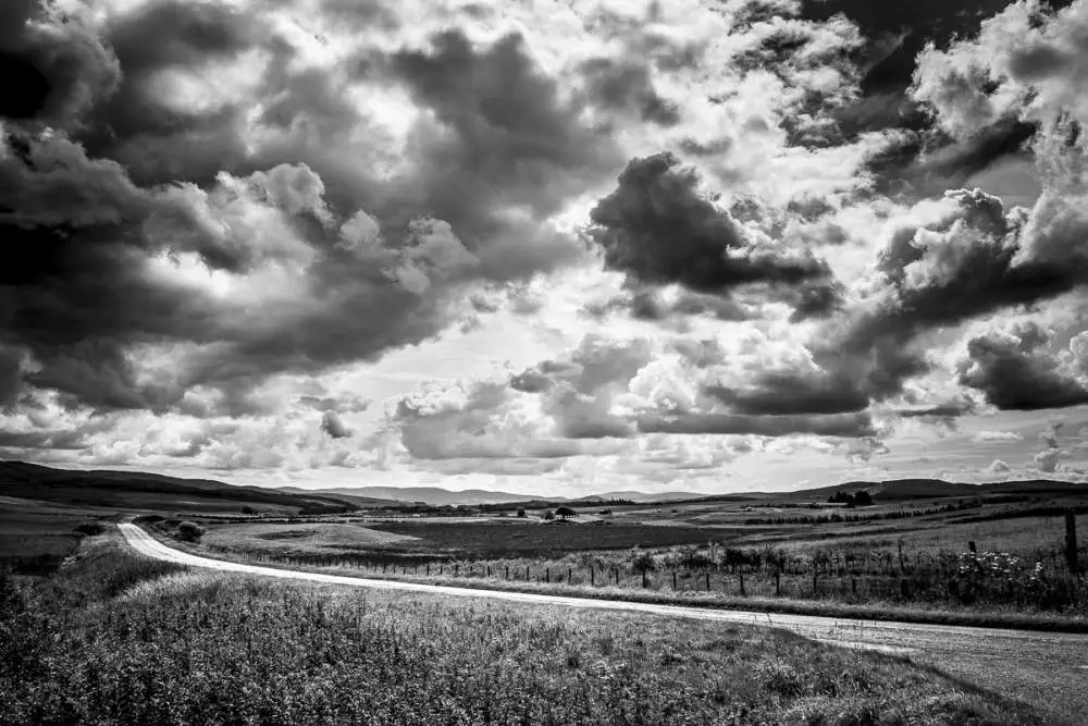 The borders